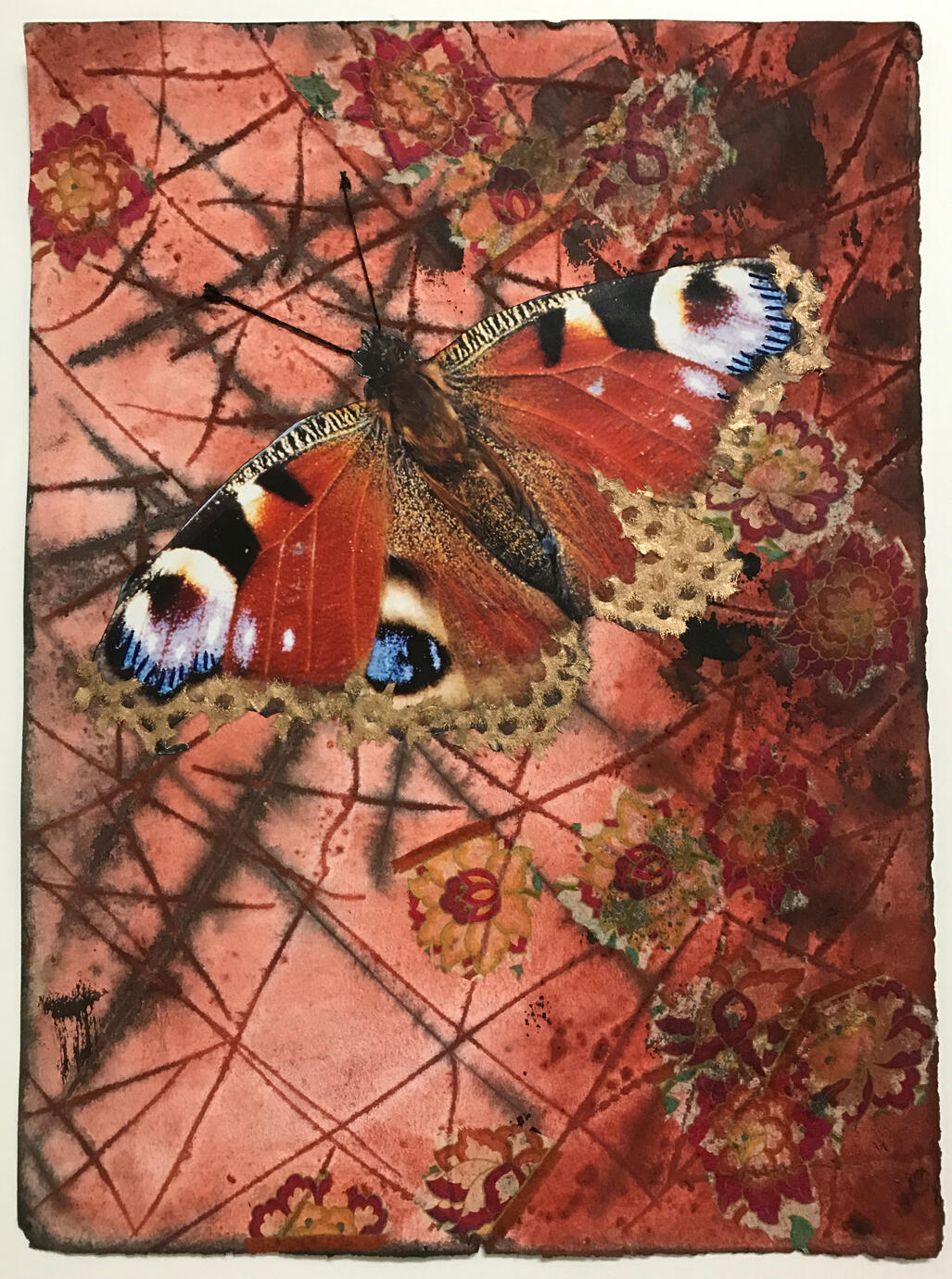 Butterfly #2 © Donna Durbin