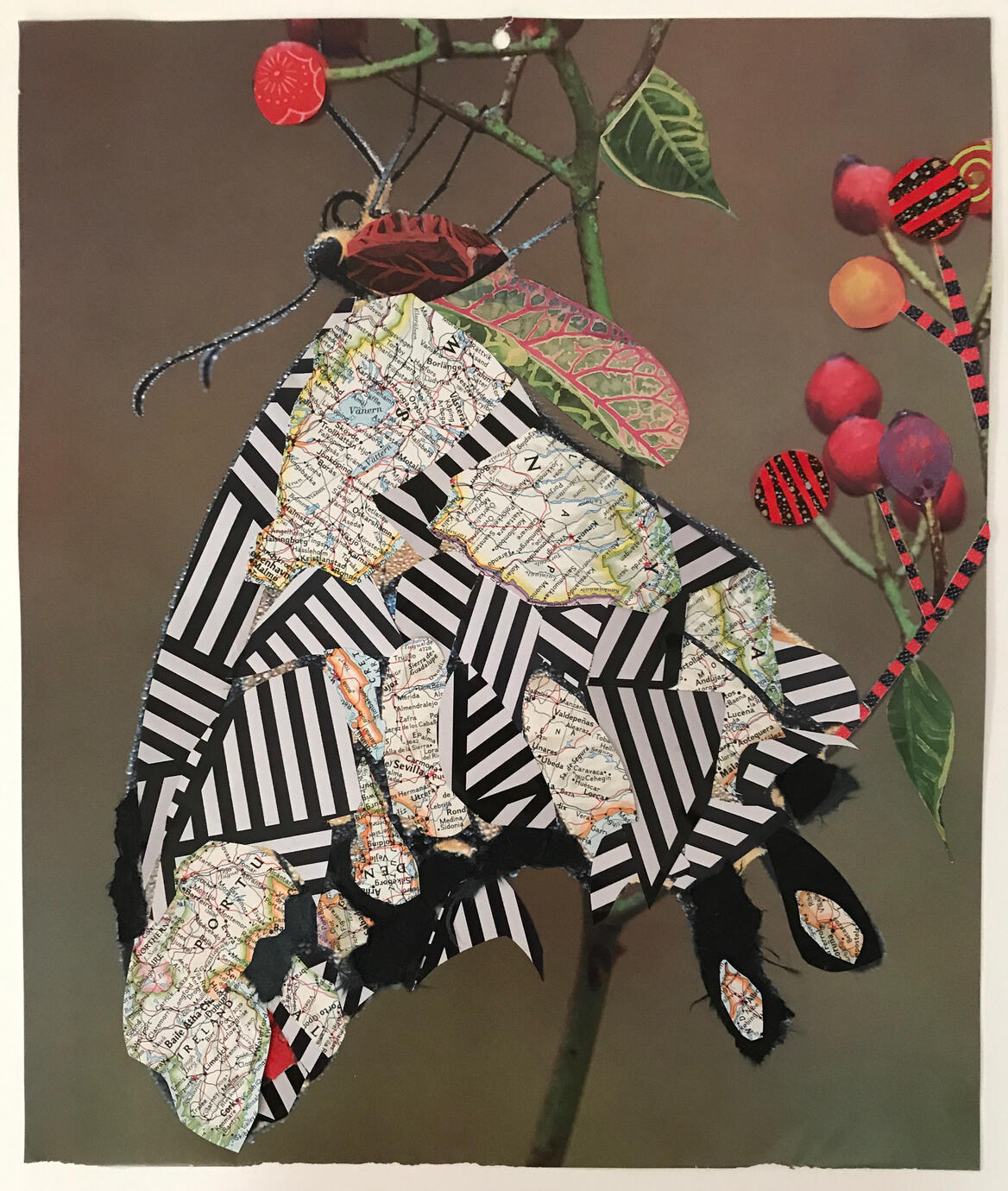 Butterfly #1 © Donna Durbin